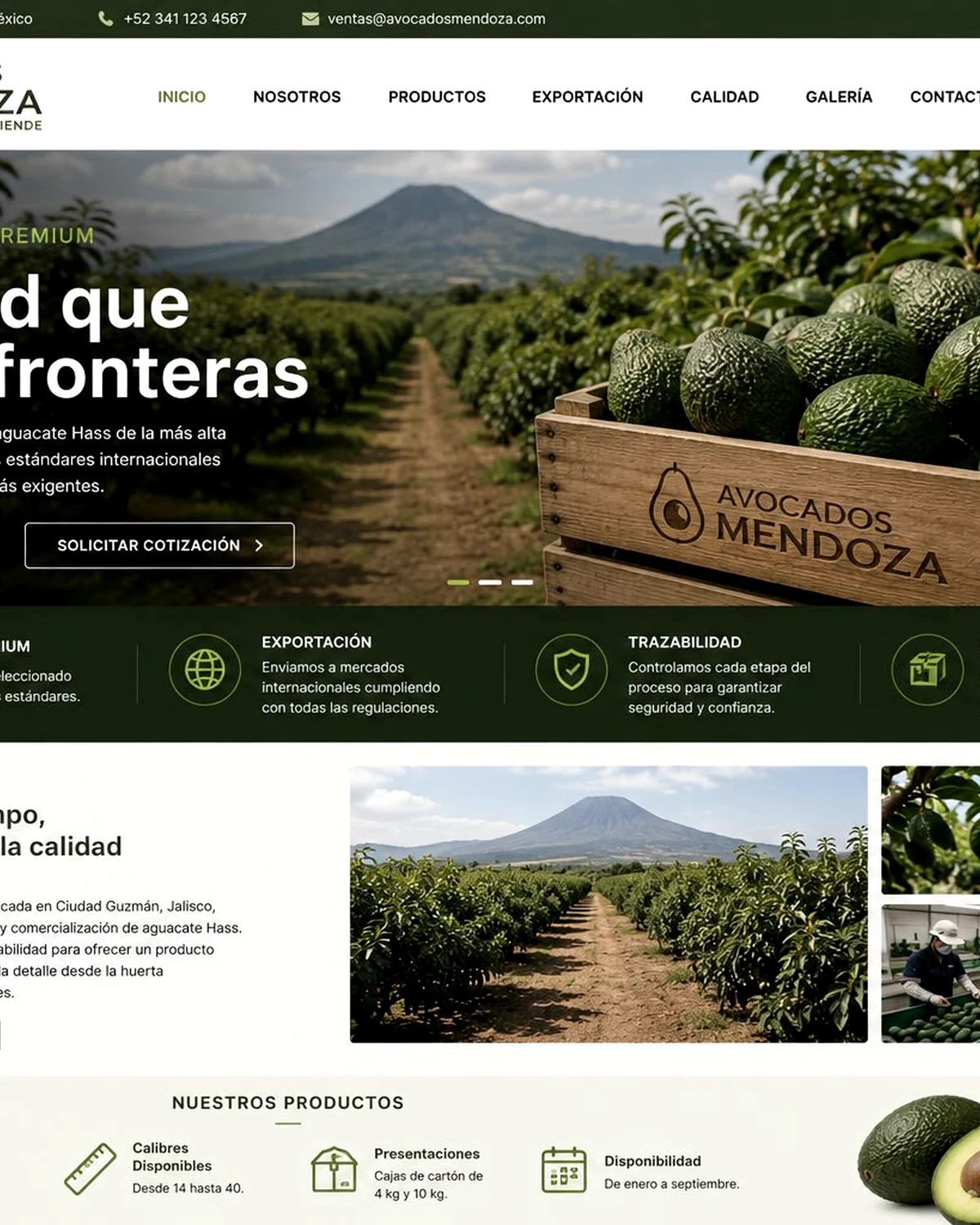 Huerta de aguacate