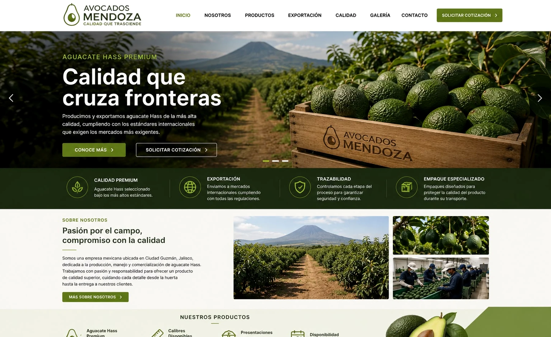 Huerta de aguacate