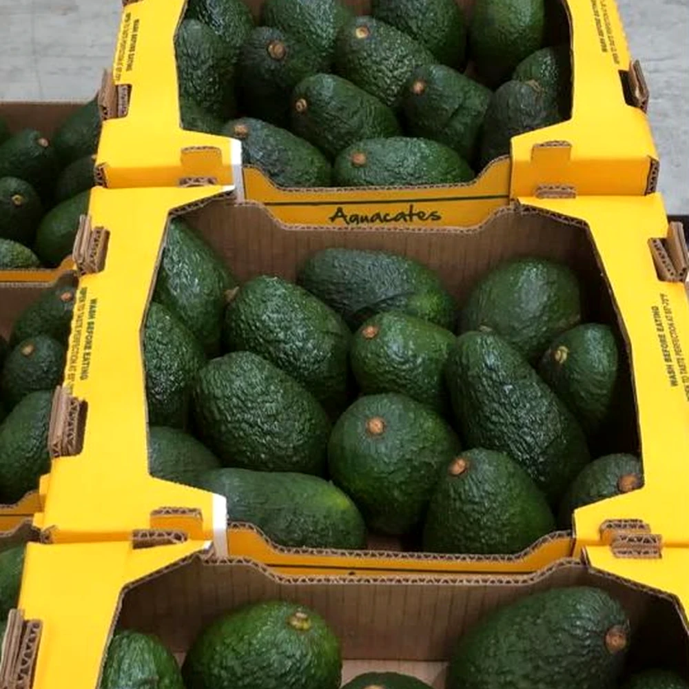 Aguacates empacados